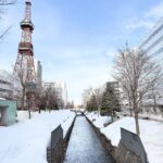 Sapporo Travel Guide For Families + Sample Itinerary