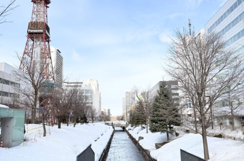 Sapporo TV tower view