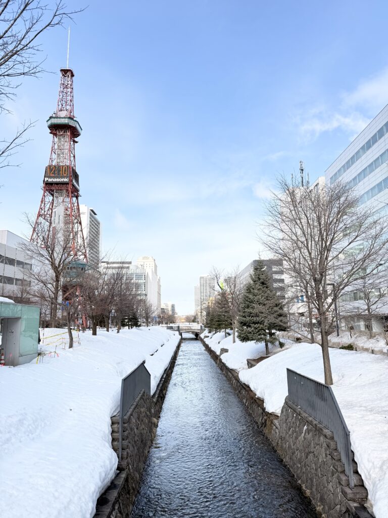 Sapporo TV tower view